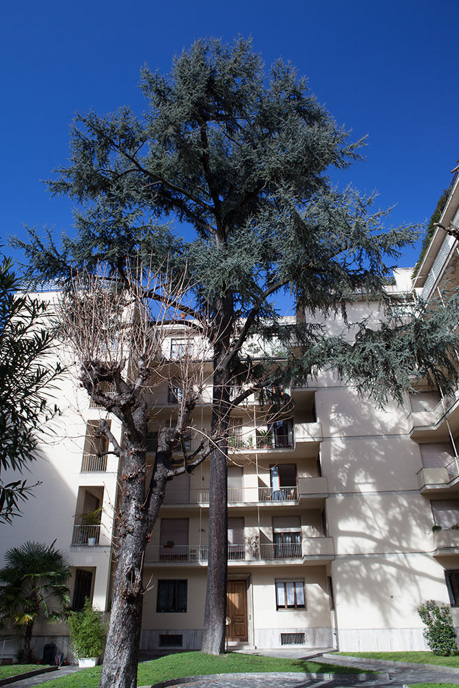 Verdi Apartments Florence Exterior photo
